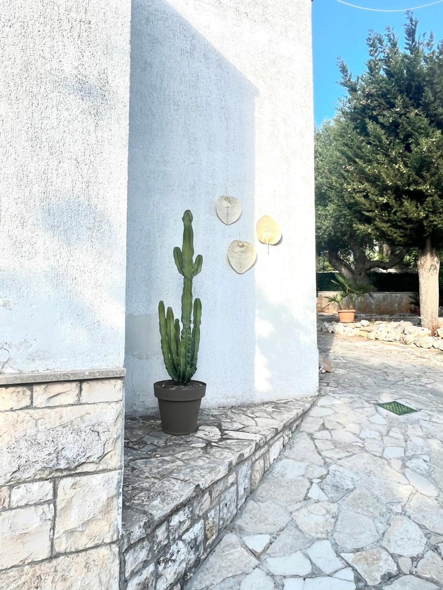 Casa Rina Holiday home Selva Di Fasano